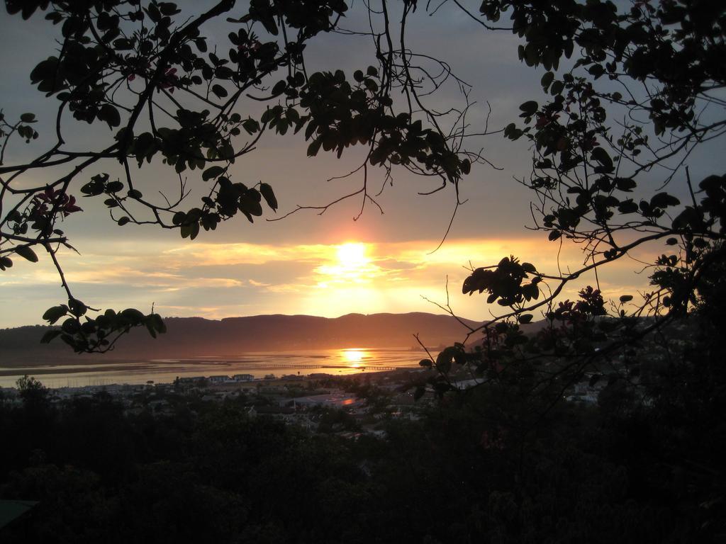 Mount Joy Cottages Knysna Eksteriør billede